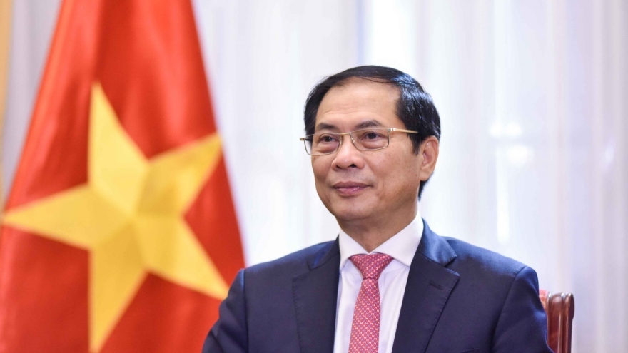 Vietnam-China relationship at deepest, most comprehensive and substantive level ever: FM